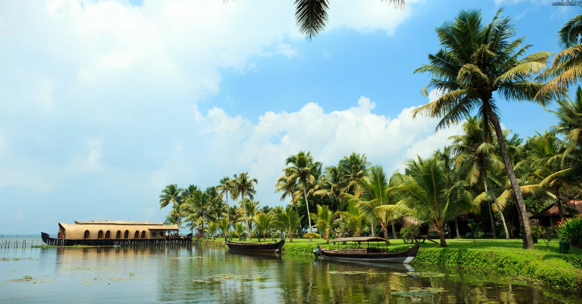 Top 10 Things To Do In Kumarakom 2025