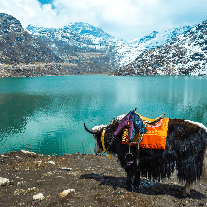 Sikkim