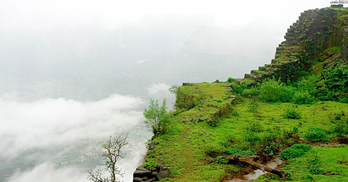 Best Things To Do In Mahabaleshwar In A Day 
